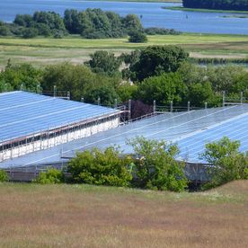 Solaranlagen auf Hallendächern